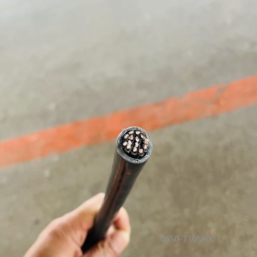 ÌØÖÖµçÀÂ.316.jpg ÌØÖÖµçÀÂ.316.jpg