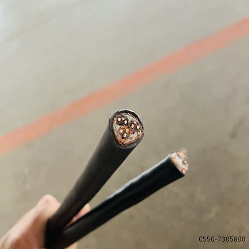 IMG_0657.jpg IMG_0657.jpg