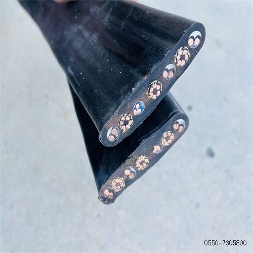 ÌØÖÖµçÀ³§¼Ò310.jpg ÌØÖÖµçÀ³§¼Ò310.jpg