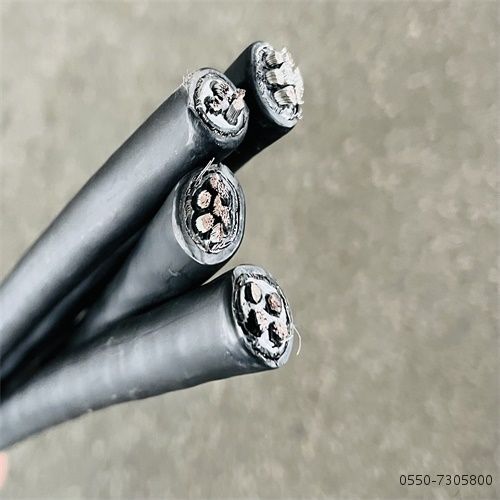 ÌØÖÖµçÀ³§¼Ò27.jpg ÌØÖÖµçÀ³§¼Ò27.jpg