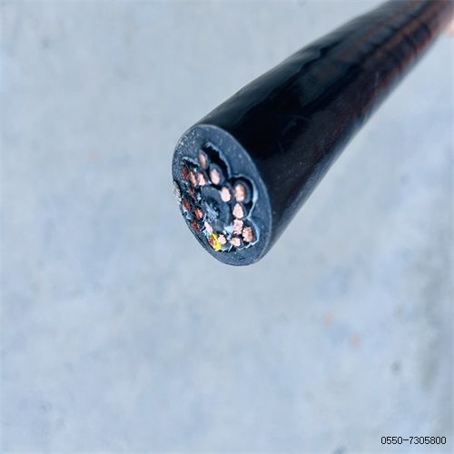 ÌØÖÖµçÀ³§¼Ò250.jpg ÌØÖÖµçÀ³§¼Ò250.jpg