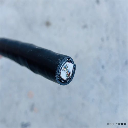 ÌØÖÖµçÀ³§¼Ò205.jpg ÌØÖÖµçÀ³§¼Ò205.jpg