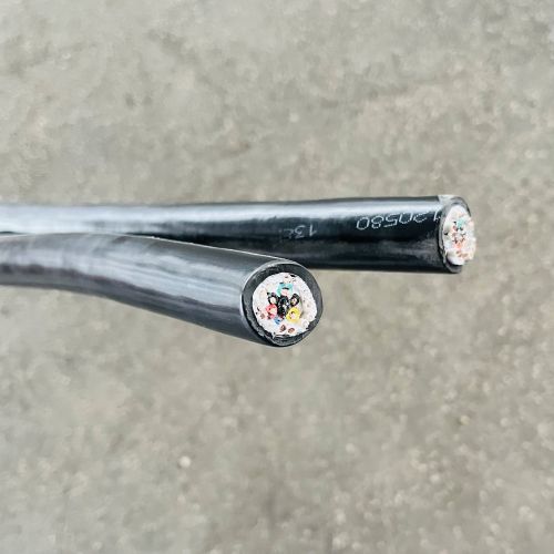 IMG_2669.jpg IMG_2669.jpg