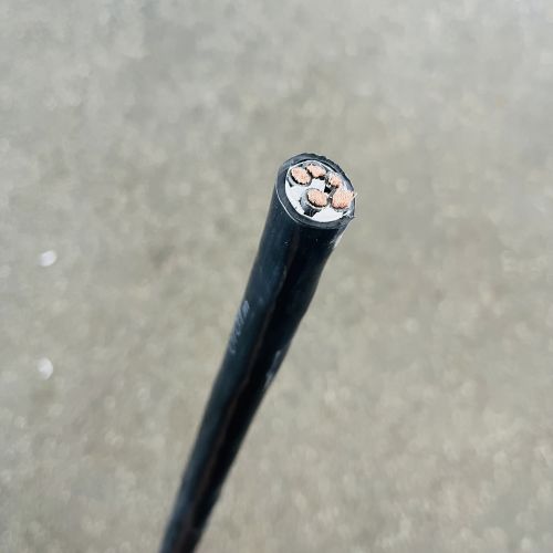 IMG_4876.jpg IMG_4876.jpg