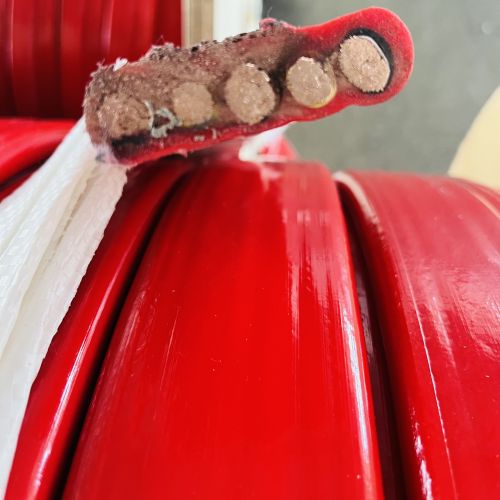 IMG_2343.jpg IMG_2343.jpg