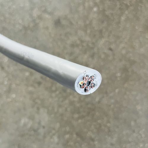 IMG_0509.jpg IMG_0509.jpg