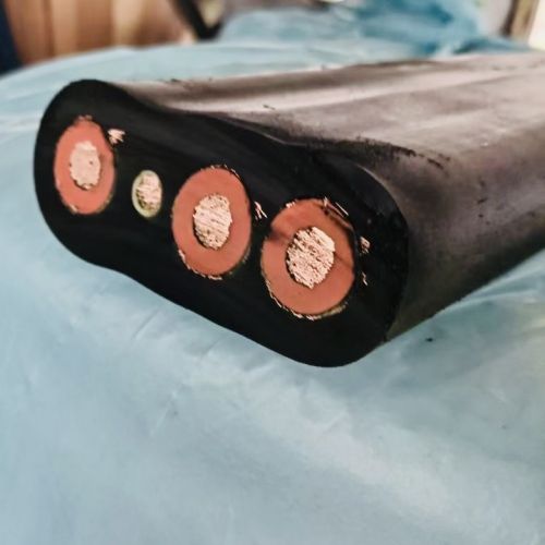 IMG_7750.jpg IMG_7750.jpg