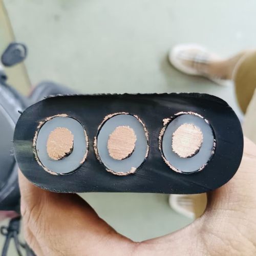 IMG_8062.jpg IMG_8062.jpg