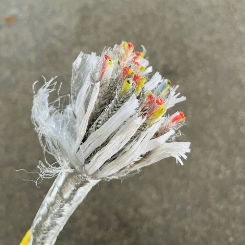 IMG_6499.jpg IMG_6499.jpg