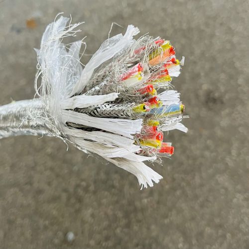 IMG_6501.jpg IMG_6501.jpg