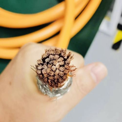 IMG_0048.jpg IMG_0048.jpg