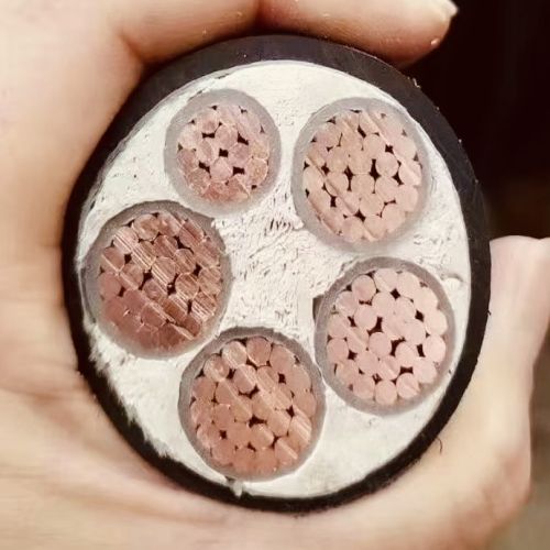 IMG_8357.jpg IMG_8357.jpg