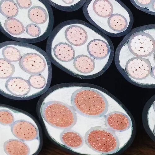 IMG_8356.jpg IMG_8356.jpg