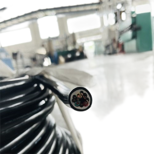 IMG_0407.png IMG_0407.png