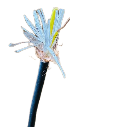 IMG_1927.png IMG_1927.png