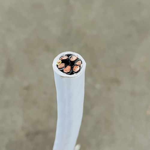 IMG_6525.jpg IMG_6525.jpg