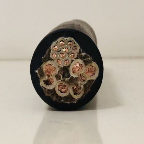 IMG_5929.jpg IMG_5929.jpg