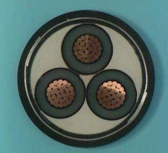 20170315094347569 20170315094347569