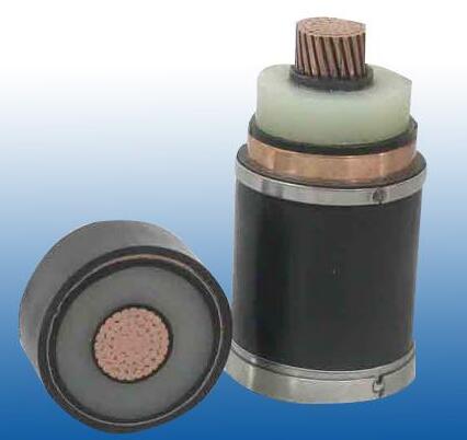 201703151001266405 201703151001266405