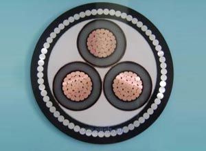 201703151548067341 201703151548067341