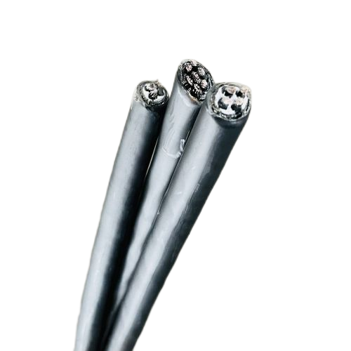 202411131552246501 202411131552246501