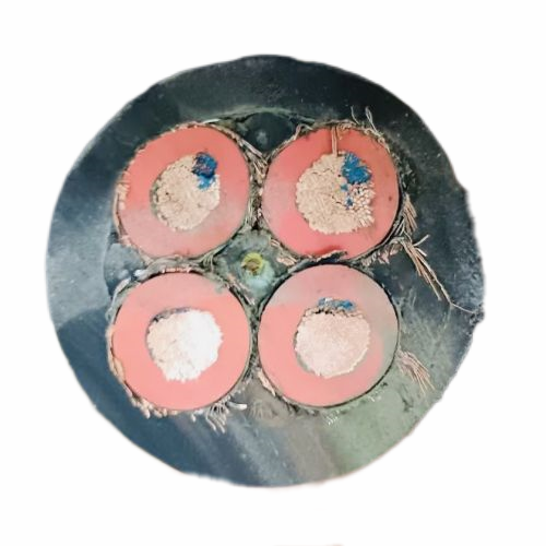 202411141512369418 202411141512369418