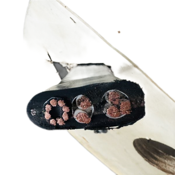 202411171459331541 202411171459331541