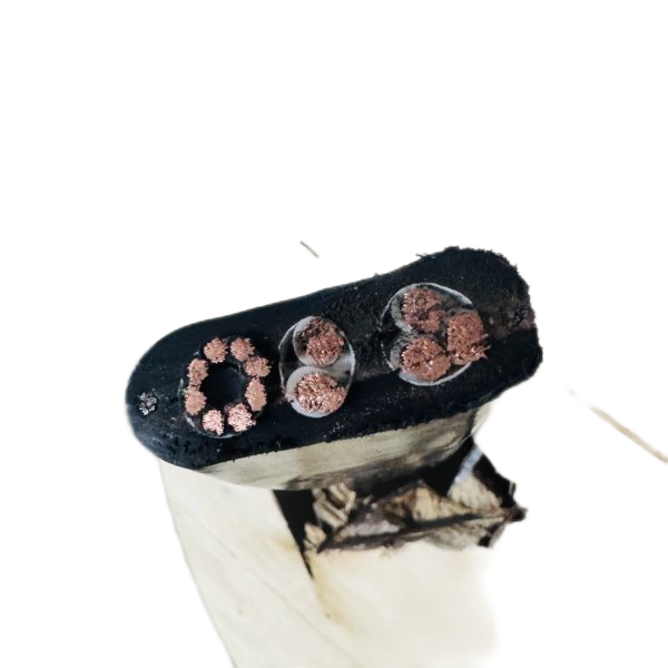 202411171459599808 202411171459599808