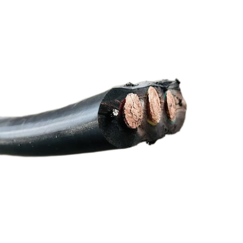 202411281009231200 202411281009231200