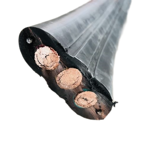 202411281010243809 202411281010243809