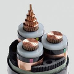 AG8亚洲游戏国际集团·(中国)官方网站