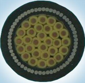 AG8亚洲游戏国际集团·(中国)官方网站