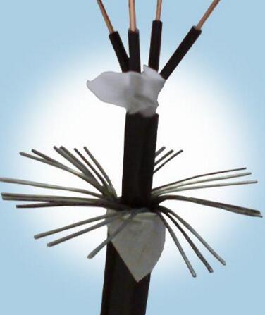 AG8亚洲游戏国际集团·(中国)官方网站