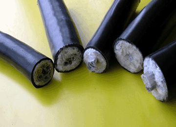 AG8亚洲游戏国际集团·(中国)官方网站