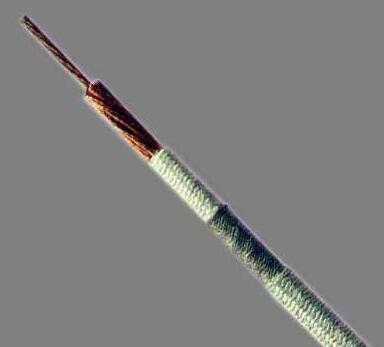 AG8亚洲游戏国际集团·(中国)官方网站