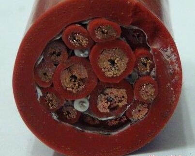 AG8亚洲游戏国际集团·(中国)官方网站