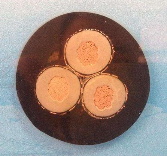 AG8亚洲游戏国际集团·(中国)官方网站