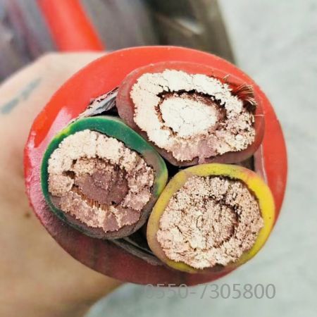 AG8亚洲游戏国际集团·(中国)官方网站