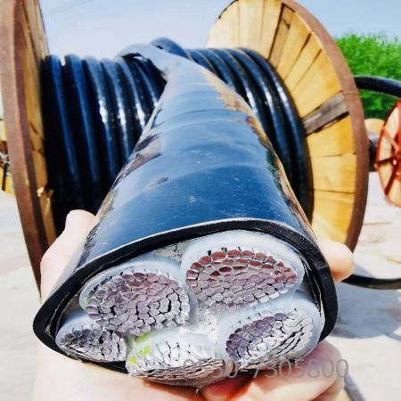 AG8亚洲游戏国际集团·(中国)官方网站