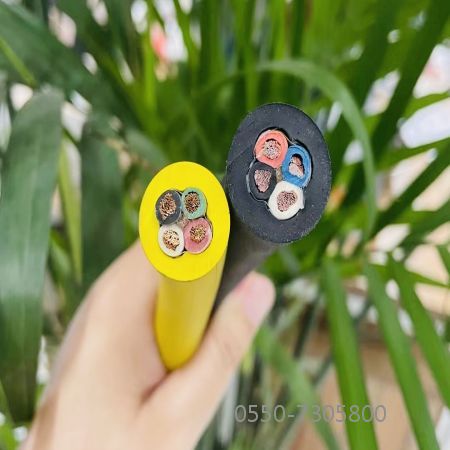 AG8亚洲游戏国际集团·(中国)官方网站