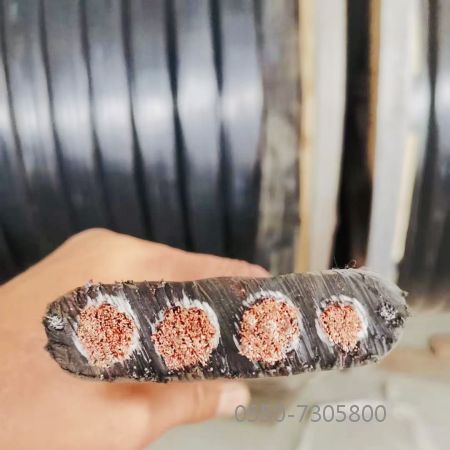 AG8亚洲游戏国际集团·(中国)官方网站