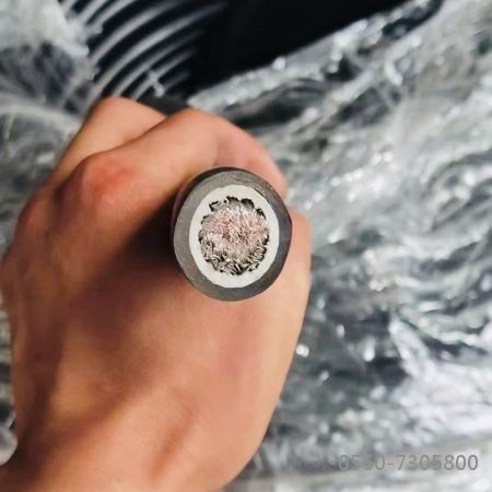 AG8亚洲游戏国际集团·(中国)官方网站