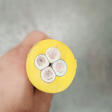 AG8亚洲游戏国际集团·(中国)官方网站