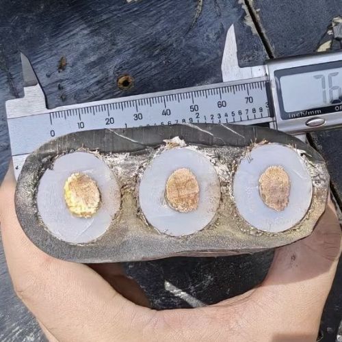 AG8亚洲游戏国际集团·(中国)官方网站