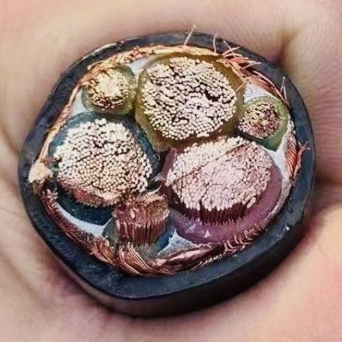 AG8亚洲游戏国际集团·(中国)官方网站