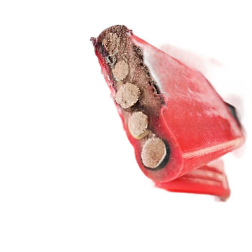 AG8亚洲游戏国际集团·(中国)官方网站