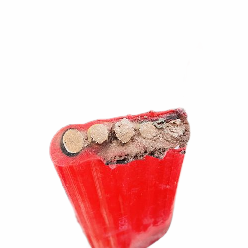 AG8亚洲游戏国际集团·(中国)官方网站