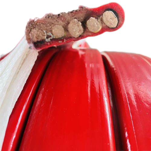 AG8亚洲游戏国际集团·(中国)官方网站