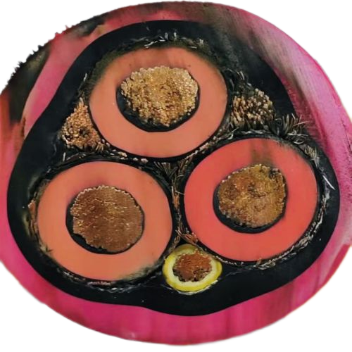 AG8亚洲游戏国际集团·(中国)官方网站