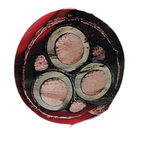 AG8亚洲游戏国际集团·(中国)官方网站